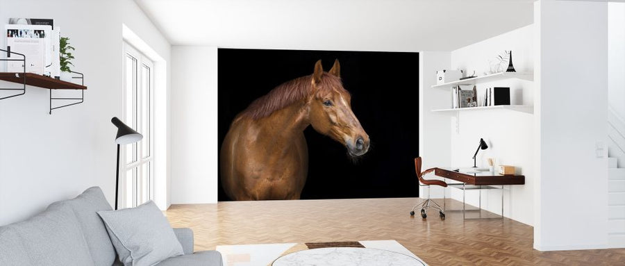 PHOTOWALL / Red Horse Portrait (e316505)