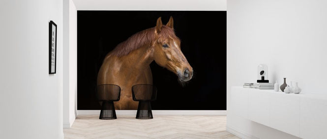 PHOTOWALL / Red Horse Portrait (e316505)