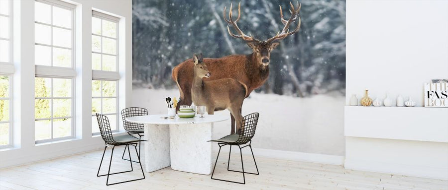 PHOTOWALL / Deer in the Snow (e316509)