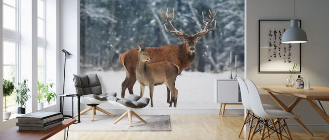 PHOTOWALL / Deer in the Snow (e316509)