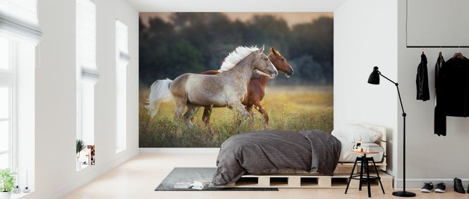 PHOTOWALL / Cream and Red Horse (e316511)
