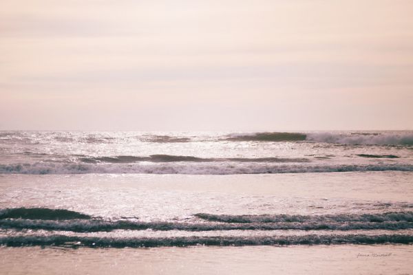 PHOTOWALL / Kalaloch Coast (e316183)
