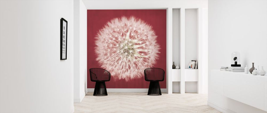 PHOTOWALL / Dandelion on Red (e316198)