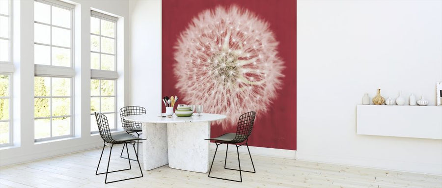 PHOTOWALL / Dandelion on Red (e316198)