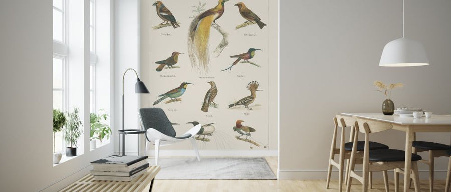 PHOTOWALL / Bird Chart I (e316422)