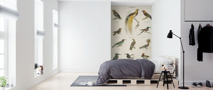 PHOTOWALL / Bird Chart I (e316422)