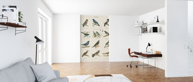 PHOTOWALL / Bird Chart II (e316423)