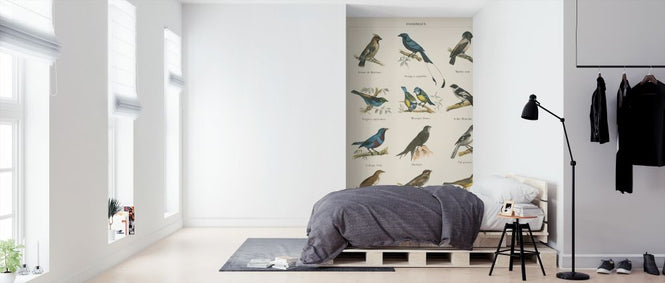PHOTOWALL / Bird Chart II (e316423)