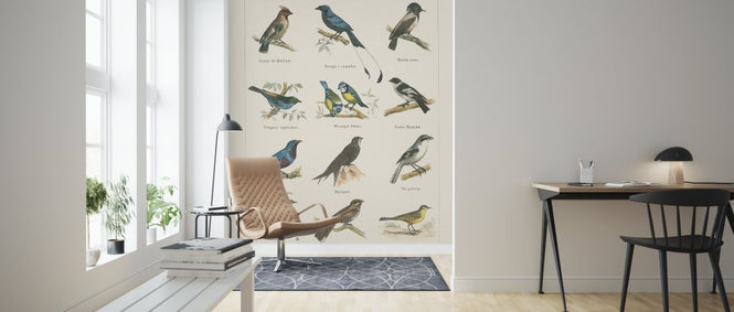 PHOTOWALL / Bird Chart II (e316423)