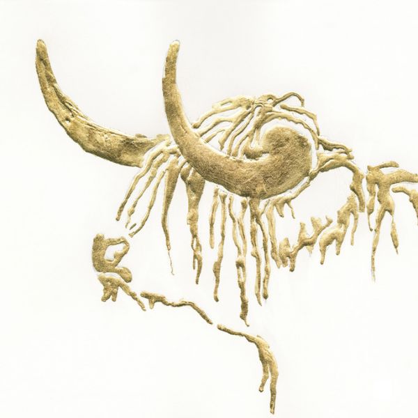 PHOTOWALL / Gilded Highlander (e316426)