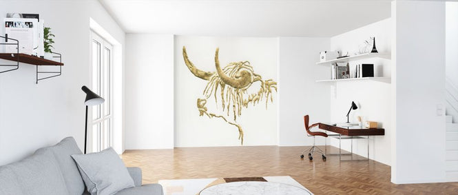 PHOTOWALL / Gilded Highlander (e316426)
