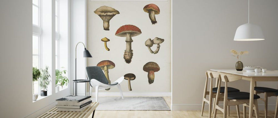 PHOTOWALL / Mushroom Chart (e316428)