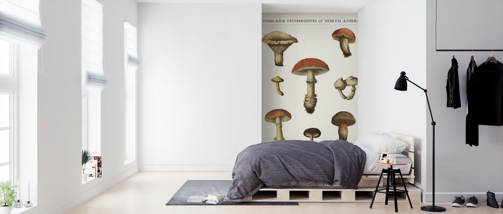 PHOTOWALL / Mushroom Chart (e316428) | 輸入壁紙専門店 WALPA