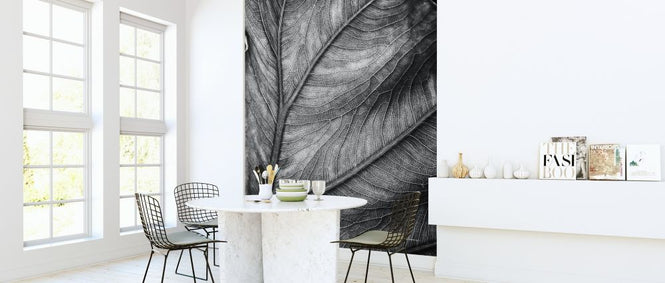 PHOTOWALL / Elephant Ear (e316431)