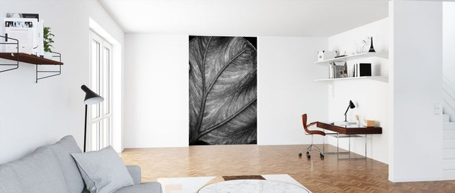 PHOTOWALL / Elephant Ear (e316431)