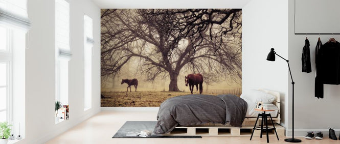 PHOTOWALL / Morning Calm (e316433)