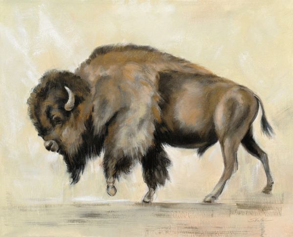 PHOTOWALL / Bronze Buffalo (e316439)