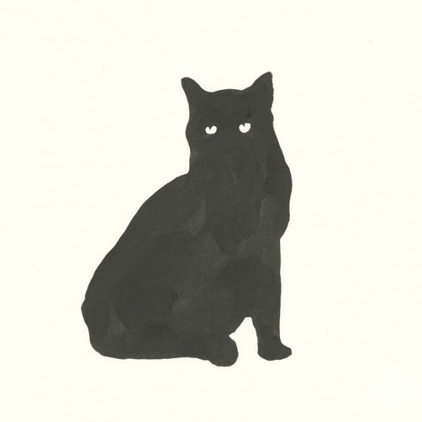 PHOTOWALL / Black Cat (e316446)