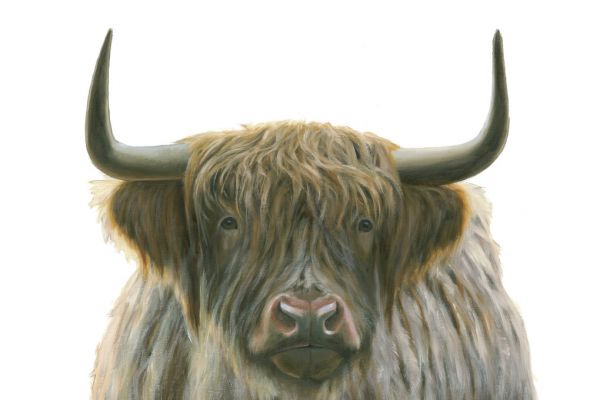 PHOTOWALL / Highlander (e316451)