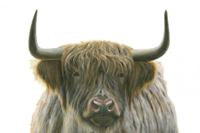 PHOTOWALL / Highlander (e316451)