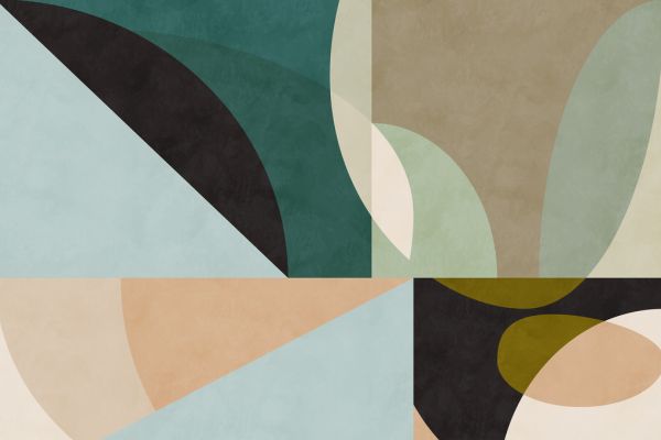 PHOTOWALL / Circles Mid Century VII (e316815)