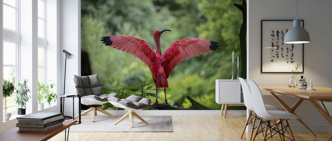 PHOTOWALL / Beautiful Bird (e316208)