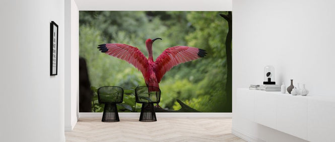 PHOTOWALL / Beautiful Bird (e316208)