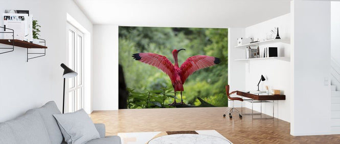 PHOTOWALL / Beautiful Bird (e316208)