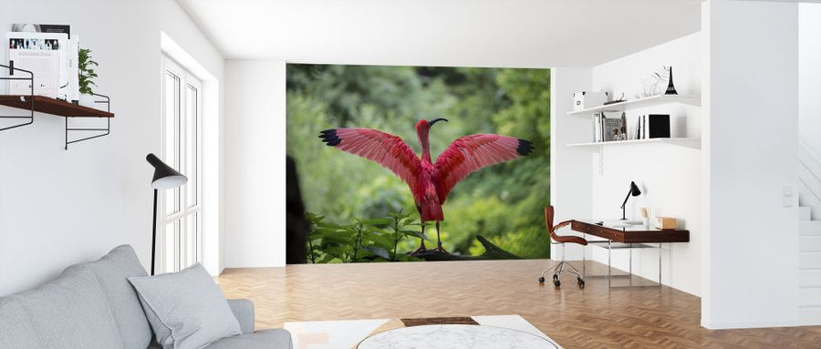 PHOTOWALL / Beautiful Bird (e316208)