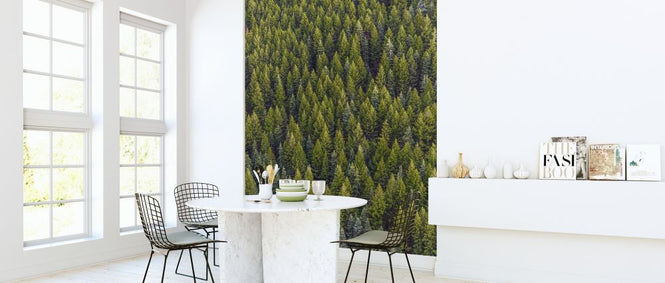 PHOTOWALL / Conifer Day (e316218)