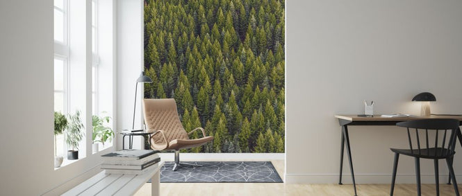 PHOTOWALL / Conifer Day (e316218)