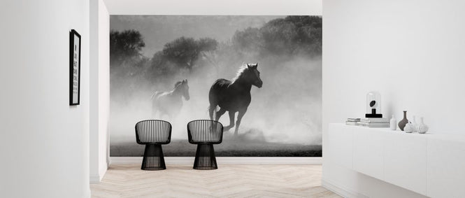 PHOTOWALL / Equine (e316224)
