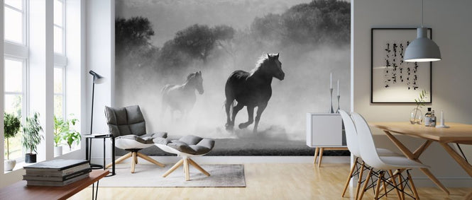 PHOTOWALL / Equine (e316224)