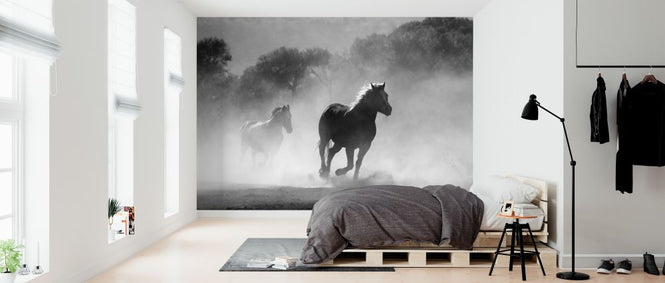 PHOTOWALL / Equine (e316224)