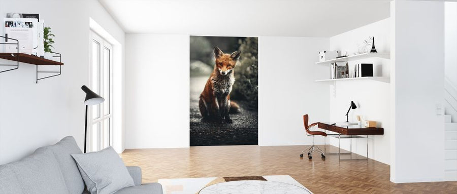 PHOTOWALL / Fox Study (e316225)