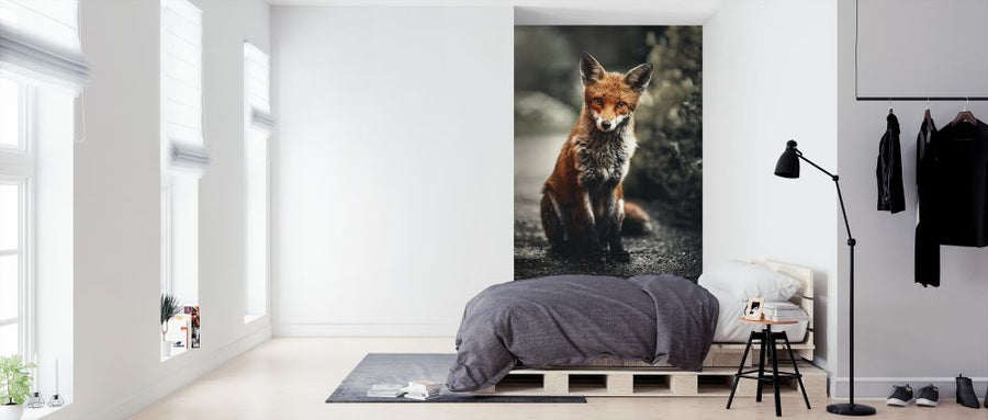 PHOTOWALL / Fox Study (e316225)