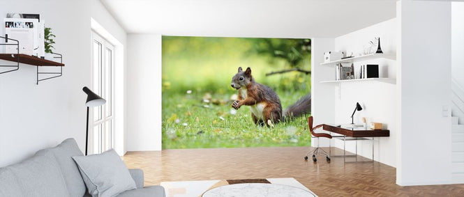 PHOTOWALL / Squirrel Census (e316239)