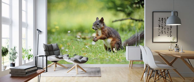 PHOTOWALL / Squirrel Census (e316239)