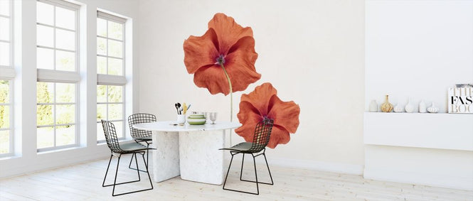 PHOTOWALL / Two Poppies (e316872)