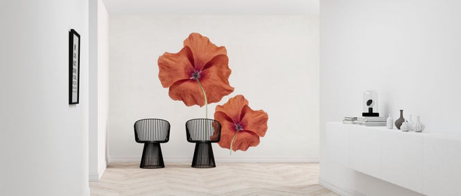 PHOTOWALL / Two Poppies (e316872)