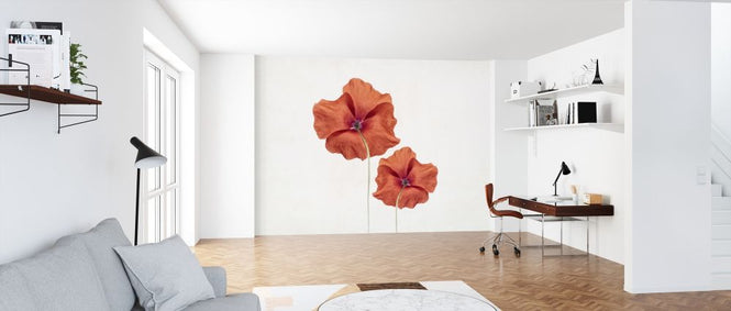PHOTOWALL / Two Poppies (e316872)