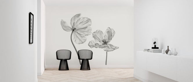 PHOTOWALL / Same Tulip (e316878)