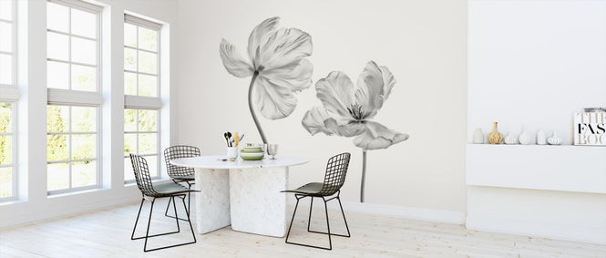 PHOTOWALL / Same Tulip (e316878)