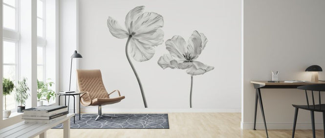 PHOTOWALL / Same Tulip (e316878)