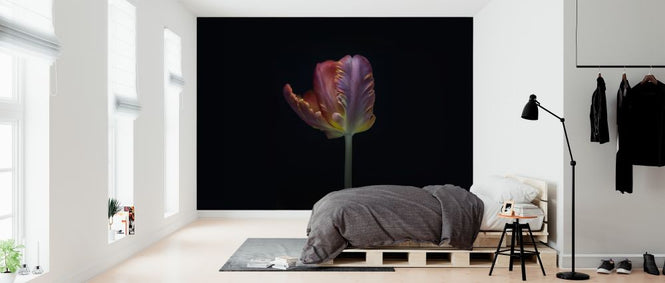 PHOTOWALL / Single Tulip (e316879)