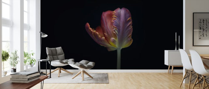 PHOTOWALL / Single Tulip (e316879)