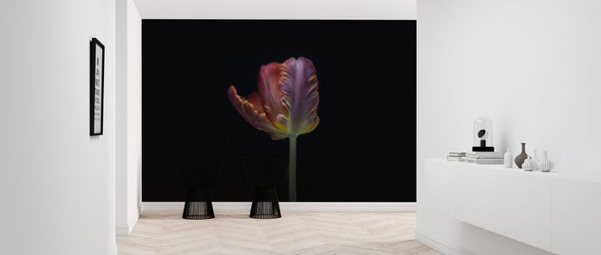 PHOTOWALL / Single Tulip (e316879)