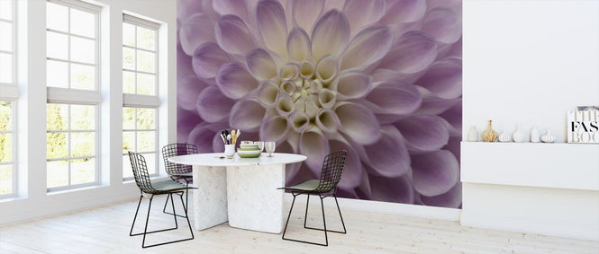 PHOTOWALL / Dahlia (e316883)