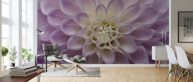 PHOTOWALL / Dahlia (e316883)