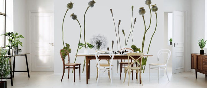 PHOTOWALL / Poppy Pods (e316885)